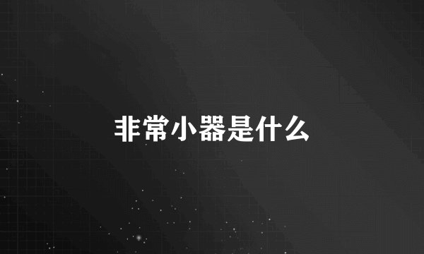 非常小器是什么