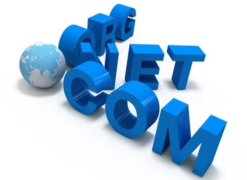 net后缀网站