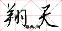 翔天
