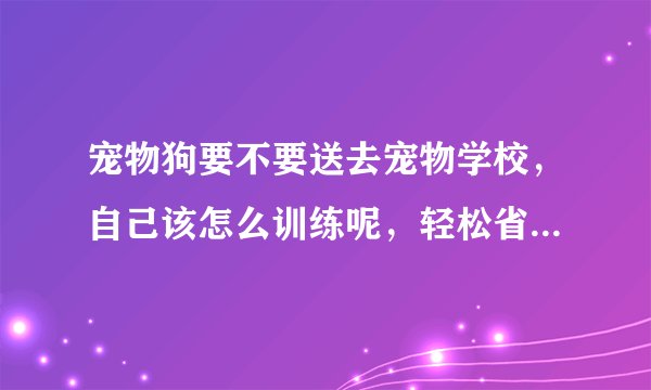 宠物狗要不要送去宠物学校,自己该怎么训练呢,轻松省下几千块