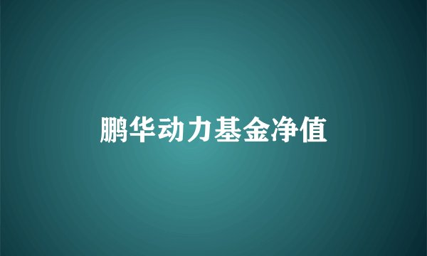 鹏华动力基金净值