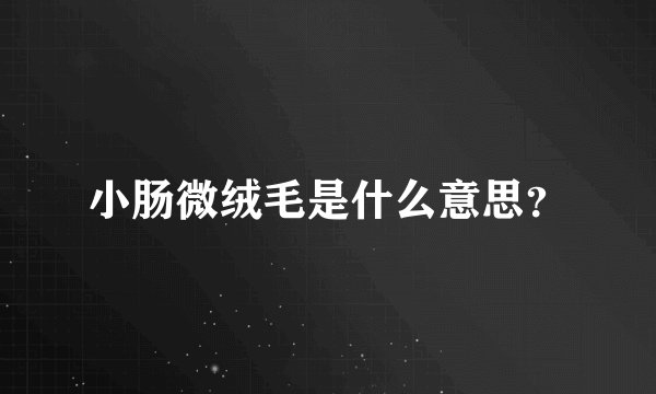 小肠微绒毛是什么意思？