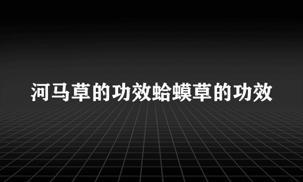 河马草的功效蛤蟆草的功效
