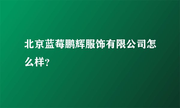 北京蓝莓鹏辉服饰有限公司怎么样？