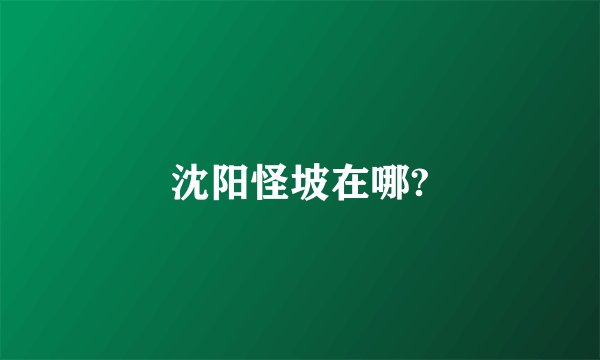 沈阳怪坡在哪?