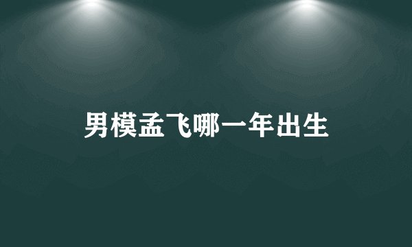 男模孟飞哪一年出生