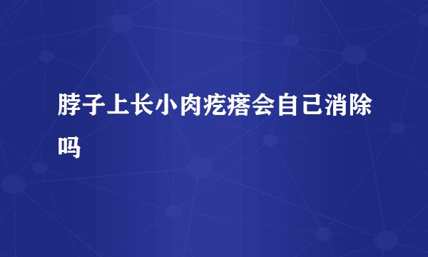 脖子上长小肉疙瘩会自己消除吗