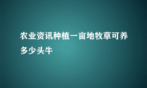 农业资讯种植一亩地牧草可养多少头牛