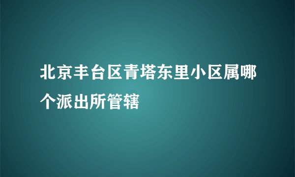 北京丰台区青塔东里小区属哪个派出所管辖