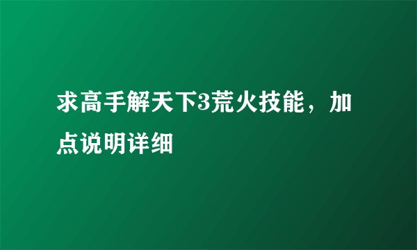 求高手解天下3荒火技能，加点说明详细