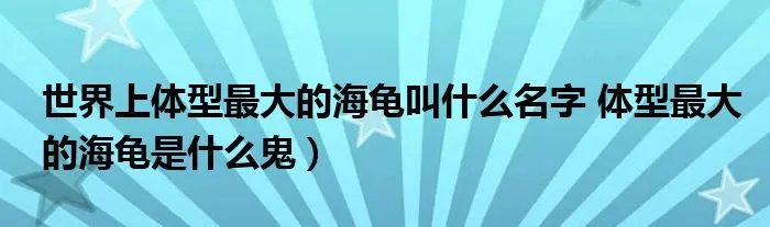 世界上体型最大的海龟叫什么名字 体型最大的海龟是什么鬼）
