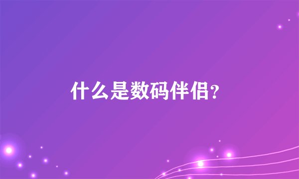 什么是数码伴侣？