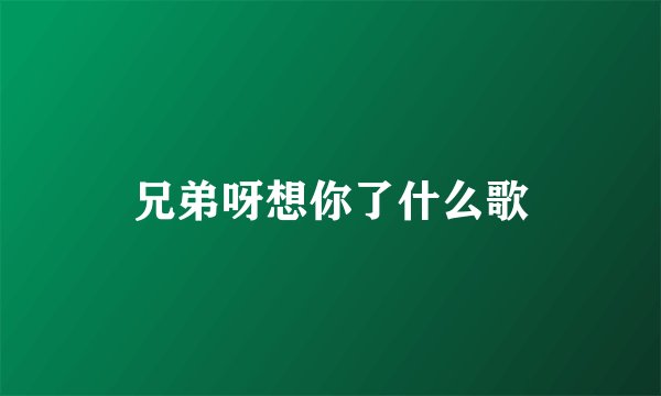 兄弟呀想你了什么歌