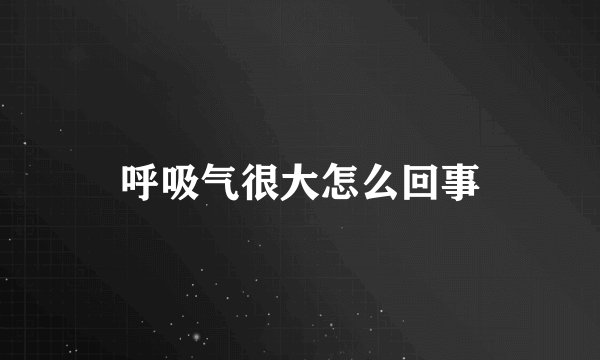 呼吸气很大怎么回事