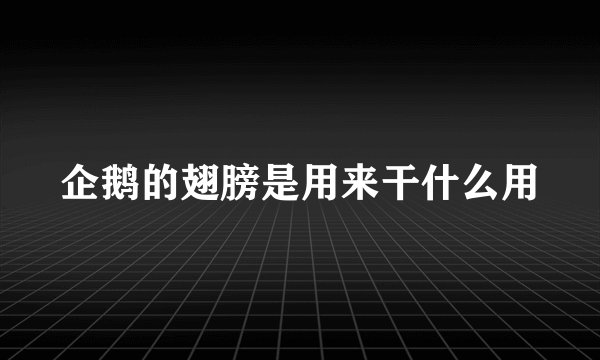 企鹅的翅膀是用来干什么用