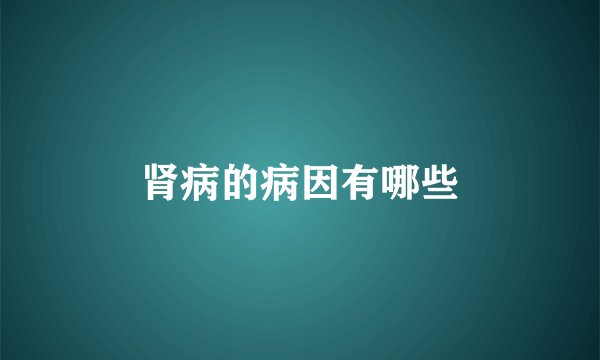 肾病的病因有哪些