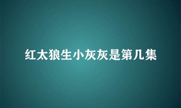 红太狼生小灰灰是第几集