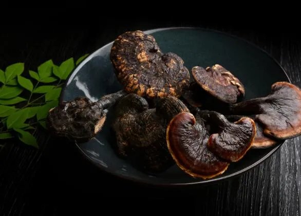 灵芝的年份越久功效越好吗 灵芝长的时间是不是越长越好