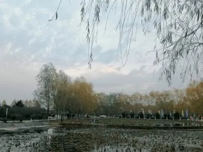 闻雅语录？