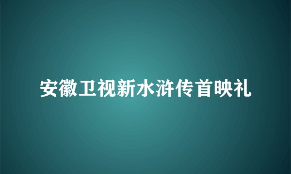 安徽卫视新水浒传首映礼