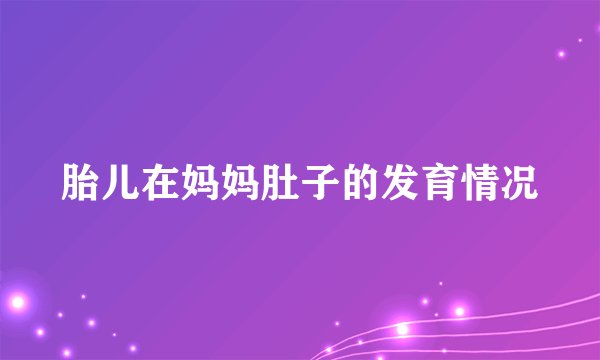 胎儿在妈妈肚子的发育情况