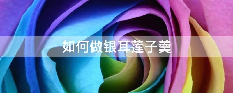 如何做银耳莲子羹