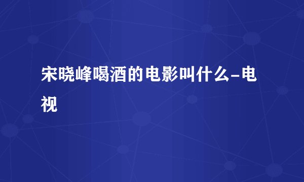宋晓峰喝酒的电影叫什么-电视