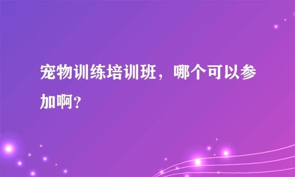 宠物训练培训班，哪个可以参加啊？