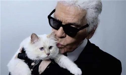 老佛爷去世后,那只继承了他21亿遗产的猫,如今生活得怎样?