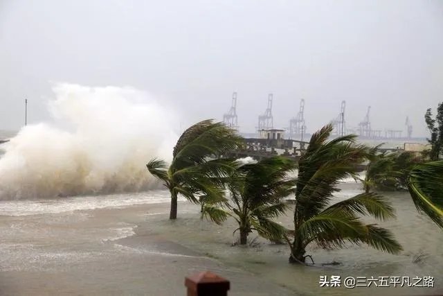 今年首个登陆我国的台风木恩要来了，对农民来说有哪些影响？