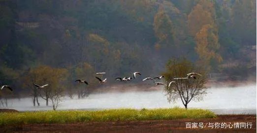 清明节放假三天不知道去哪里玩