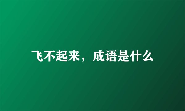 飞不起来，成语是什么