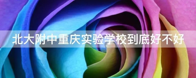北大附中重庆实验学校到底好不好
