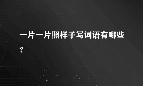 一片一片照样子写词语有哪些？