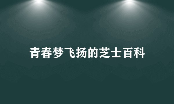 青春梦飞扬的芝士百科