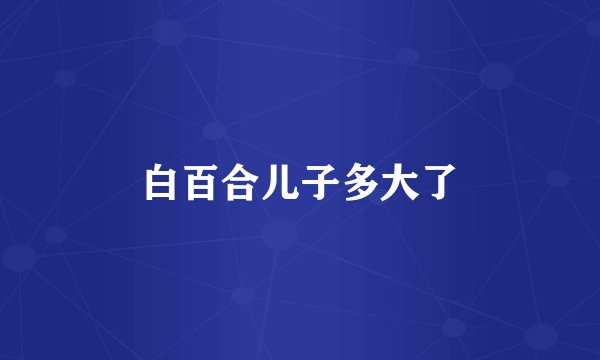 白百合儿子多大了