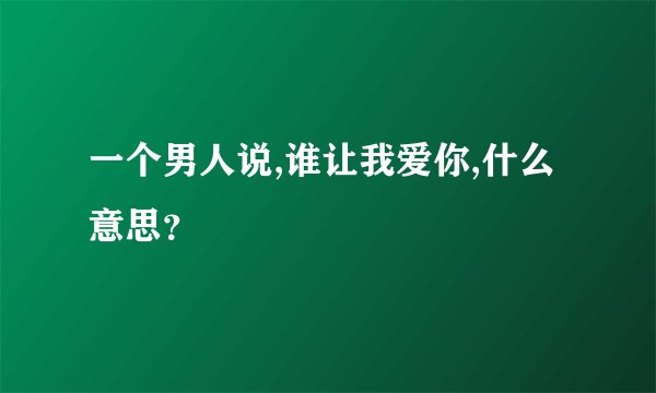 一个男人说,谁让我爱你,什么意思？