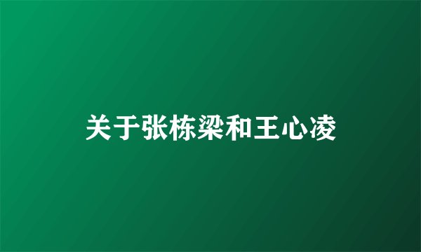 关于张栋梁和王心凌