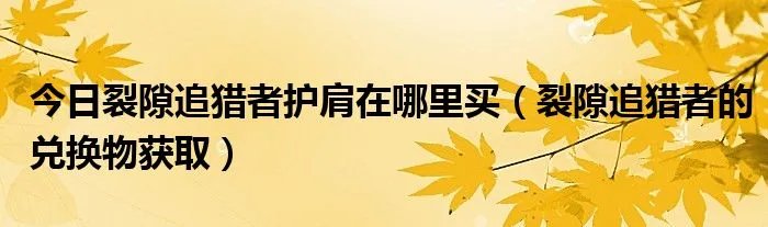 今日裂隙追猎者护肩在哪里买（裂隙追猎者的兑换物获取）