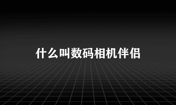 什么叫数码相机伴侣
