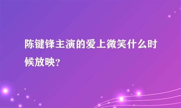 陈键锋主演的爱上微笑什么时候放映？