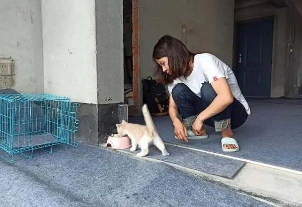 江苏95后女孩住进倾尽10年积蓄购买的毛坯房,现在的她如何?