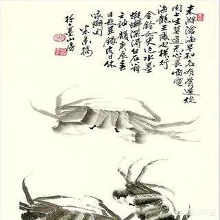 老演员张金玲简历?