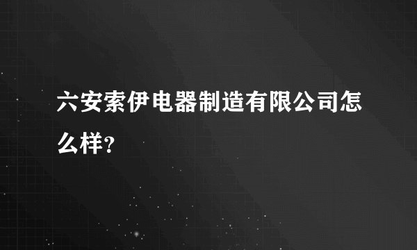 六安索伊电器制造有限公司怎么样?