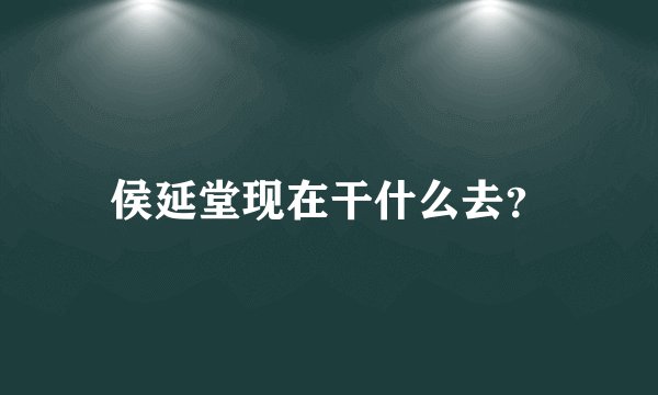 侯延堂现在干什么去？