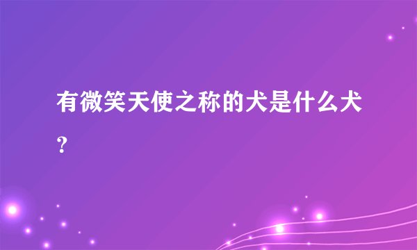 有微笑天使之称的犬是什么犬？