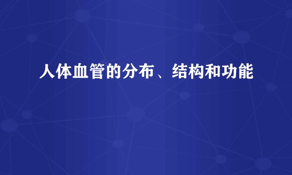 人体血管的分布、结构和功能