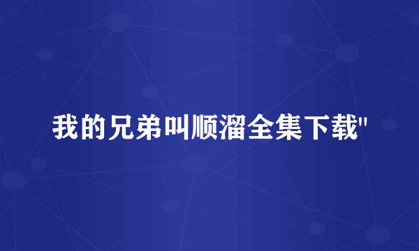 我的兄弟叫顺溜全集下载