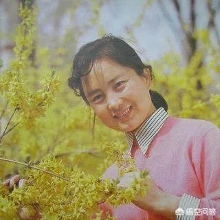 老演员张金玲简历?