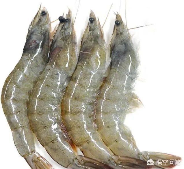 怎么挑选最鲜的海鲜?
